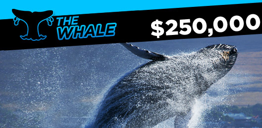 888poker the whale Rake The Rake