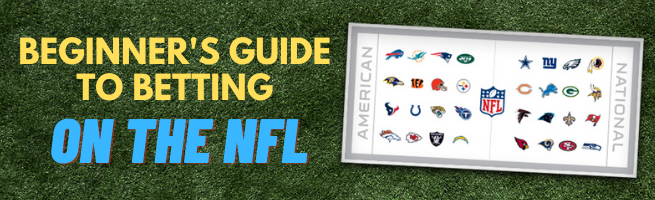 Beginners Guide to NFL Betting banner